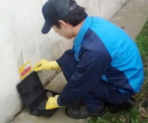 四害消杀那家好